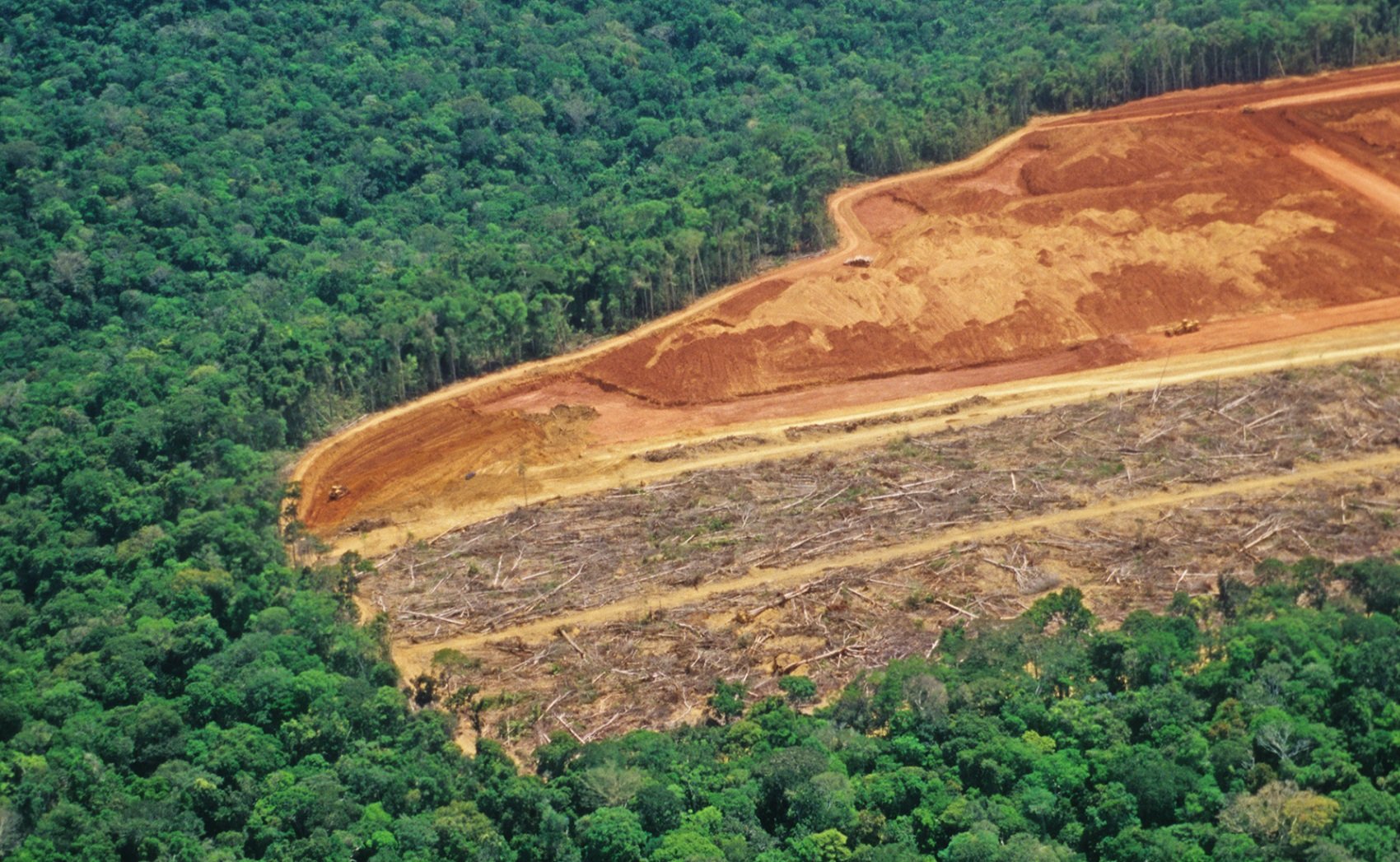 Desmatamento cresce 84 em áreas protegidas na Amazônia Cidadania23